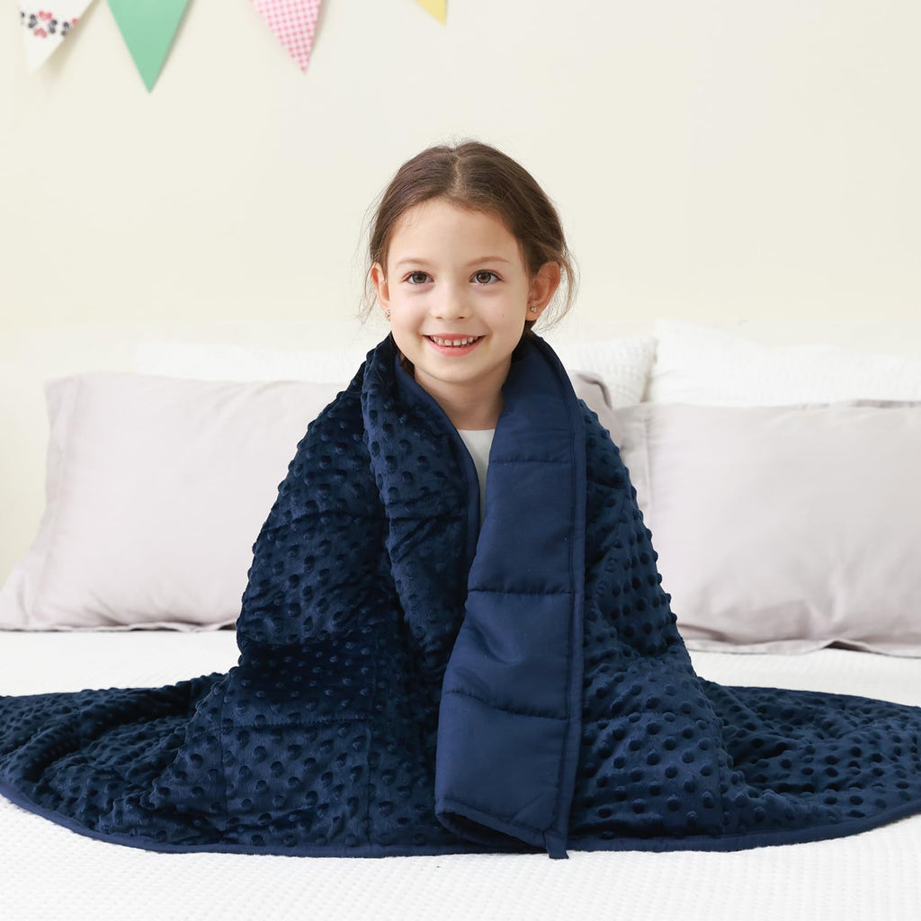 Mr. Sandman Weighted Blanket for Adults Queen Size 15 lbs, Soft Cooling Heavy Minky Blanket for Sleep, Washable Throw Blanket with Glass Beads, 60 x 80 Inches, Grey