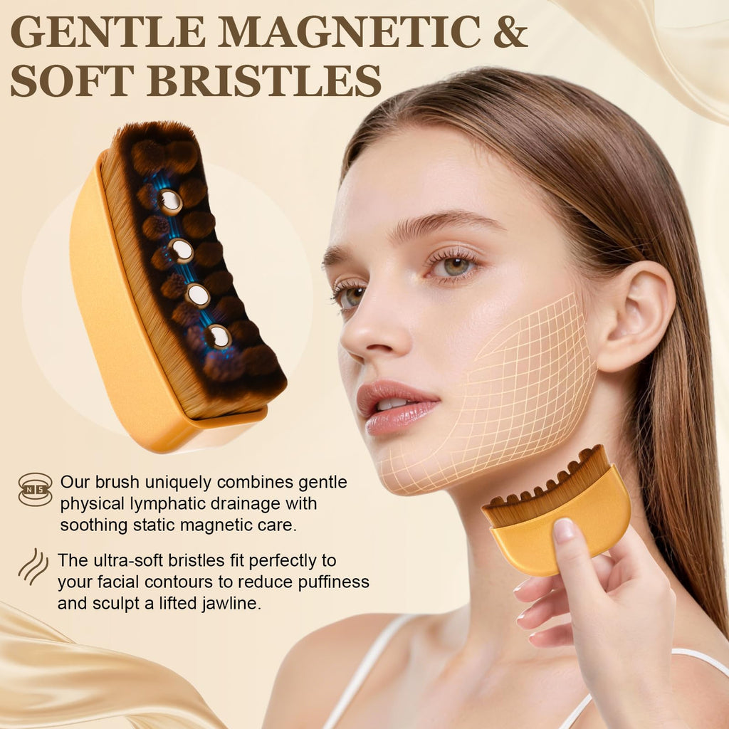 Magnetic Lymphatic Contour Face Brush – 2-in-1 Facial Sculpting Tool with 3000 Gauss Static Magnets – Soft Natural Bristles for De-Puffing, Jawline Defining and Daily Skincare (1, Purple)
