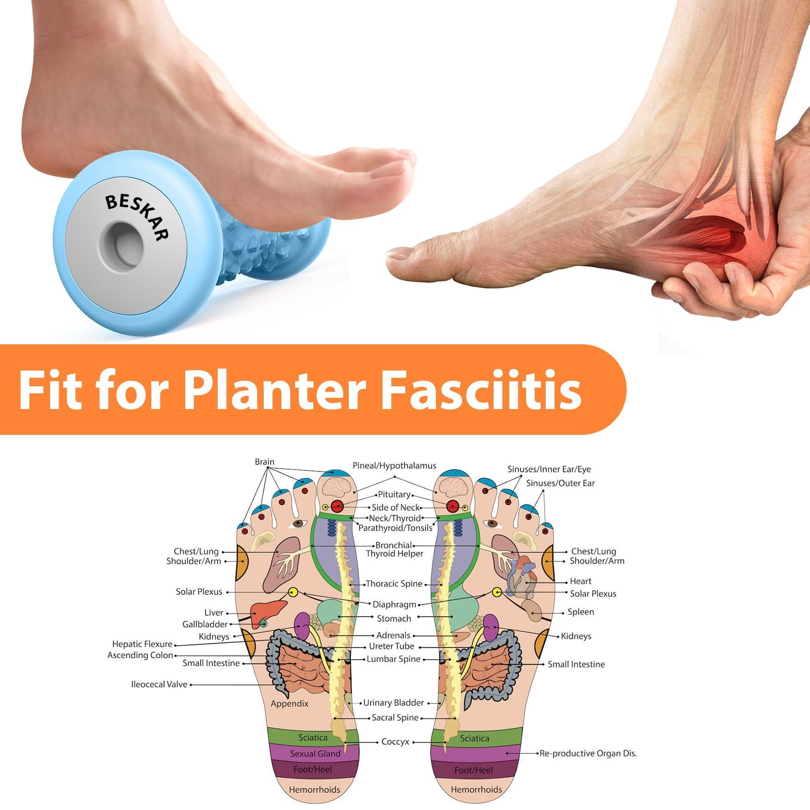 BESKAR Foot Massager Roller for Plantar Fasciitis Relief, Portable Feet Roller to Deep Tissue Muscle Massage, Foot Arch and Heel Pain, Reflexology Tool