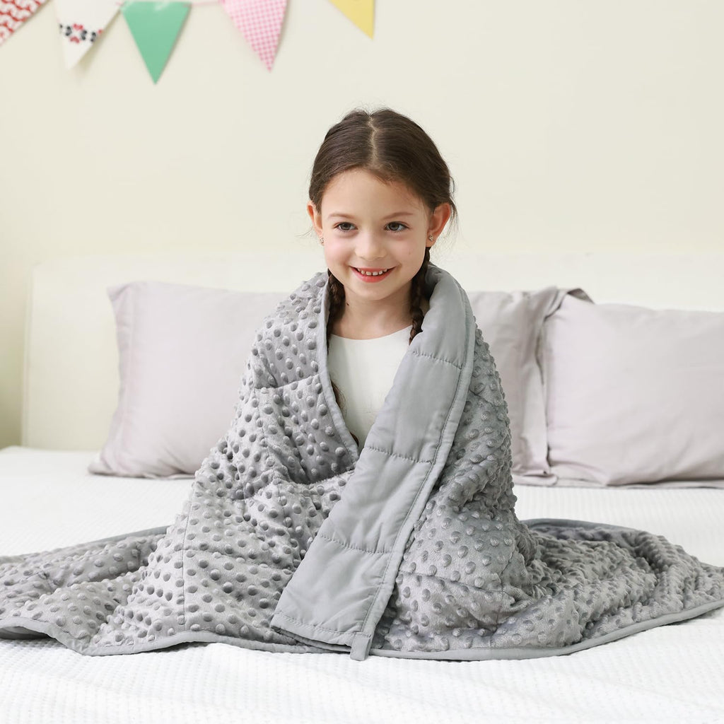 Mr. Sandman Weighted Blanket for Adults Queen Size 15 lbs, Soft Cooling Heavy Minky Blanket for Sleep, Washable Throw Blanket with Glass Beads, 60 x 80 Inches, Grey