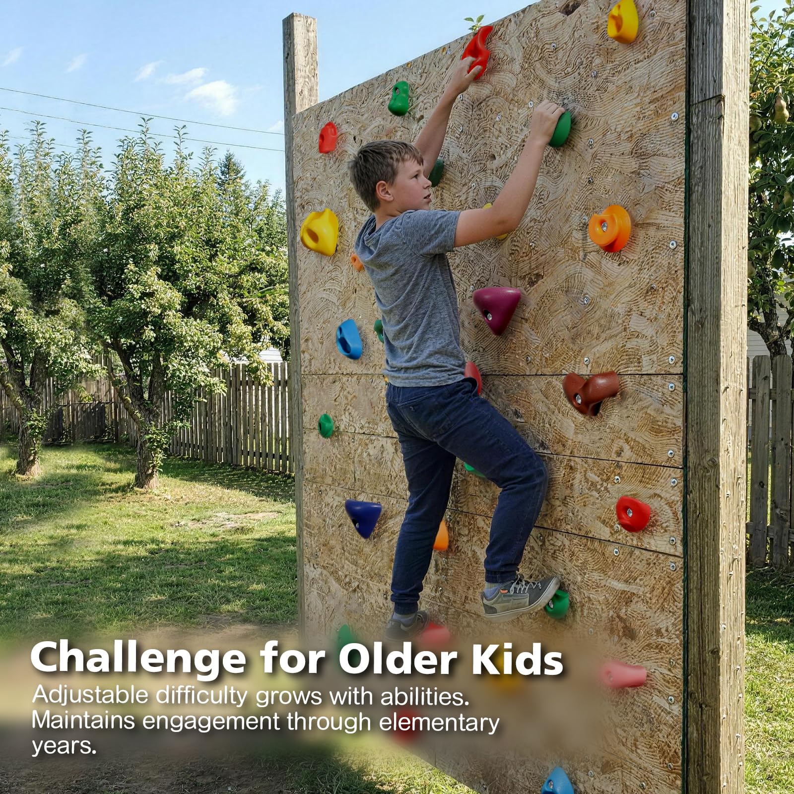 TOPNEW 32 Rock Climbing Holds Multi Size for Kids, Adult Rock Wall Holds Climbing Rock Wall Grips for Indoor and Outdoor Playground Play Set - Includes 2 Inch Mounting Hardware